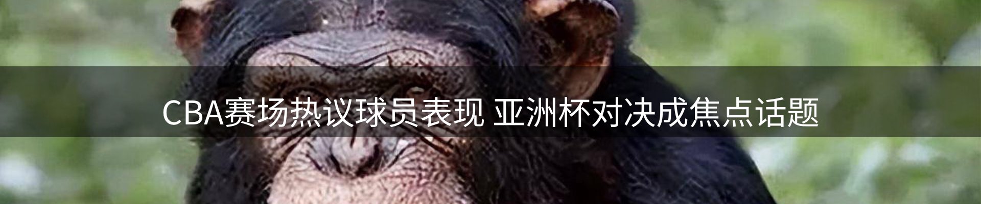 焦点选编